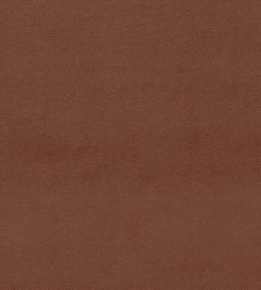 Dorton Fabric by Sanderson Chesnut Dorton Fabric by Sanderson Chesnut