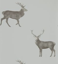 Evesham Deer Wallpaper by Sanderson Silver Grey Evesham Deer Wallpaper by Sanderson Silver Grey