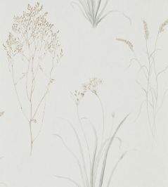 Farne Grasses Wallpaper by Sanderson Silver/Ivory Farne Grasses Wallpaper by Sanderson Silver/Ivory