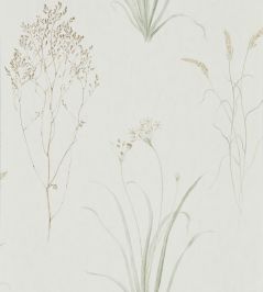 Farne Grasses Wallpaper by Sanderson Willow/Pebble Farne Grasses Wallpaper by Sanderson Willow/Pebble