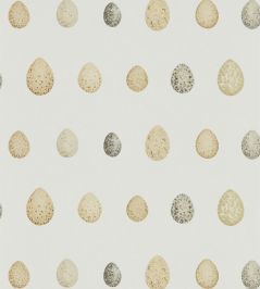 Nest Egg Wallpaper by Sanderson Corn Graphite Nest Egg Wallpaper by Sanderson Corn Graphite