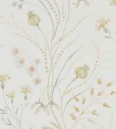 Summer Harvest Wallpaper by Sanderson Silver Corn Summer Harvest Wallpaper by Sanderson Silver Corn