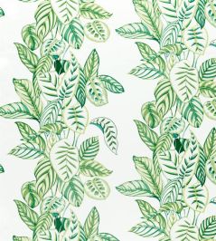Calathea Fabric by Sanderson Botanical Green Calathea Fabric by Sanderson Botanical Green