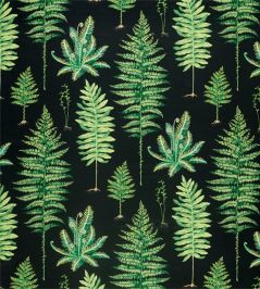 Fernery Fabric by Sanderson Botanical Green/Charcoal Fernery Fabric by Sanderson Botanical Green/Charcoal