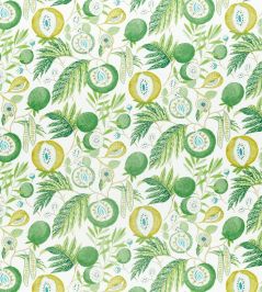Jackfruit Fabric by Sanderson Botanical Green Jackfruit Fabric by Sanderson Botanical Green