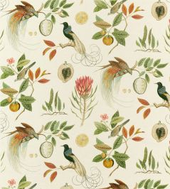 Paradesia Fabric by Sanderson Orange/Olive Paradesia Fabric by Sanderson Orange/Olive