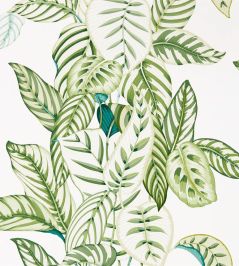 Calathea Wallpaper by Sanderson Botanical Green Calathea Wallpaper by Sanderson Botanical Green