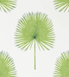Fan Palm Wallpaper by Sanderson Botanical Green Fan Palm Wallpaper by Sanderson Botanical Green