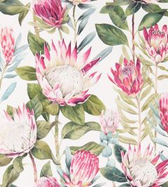 King Protea Wallpaper by Sanderson Rhodera/Cream King Protea Wallpaper by Sanderson Rhodera/Cream