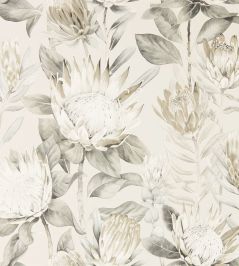 King Protea Wallpaper by Sanderson Linen/Mica King Protea Wallpaper by Sanderson Linen/Mica