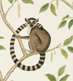 Ringtailed Lemur Wallpaper by Sanderson Cream/Olive Ringtailed Lemur Wallpaper by Sanderson Cream/Olive