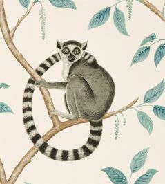 Ringtailed Lemur Wallpaper by Sanderson Stone/Eucalyptus Ringtailed Lemur Wallpaper by Sanderson Stone/Eucalyptus