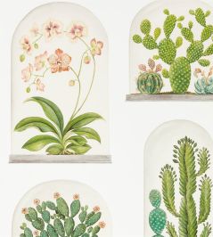 Terrariums Wallpaper by Sanderson Chalk/Green Terrariums Wallpaper by Sanderson Chalk/Green