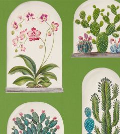 Terrariums Wallpaper by Sanderson Botanical Green/Multi Terrariums Wallpaper by Sanderson Botanical Green/Multi
