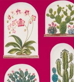 Terrariums Wallpaper by Sanderson Rhodera/Multi Terrariums Wallpaper by Sanderson Rhodera/Multi