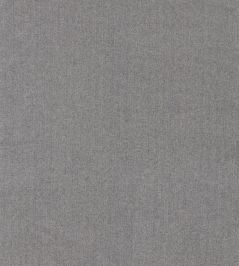 Hector Fabric by Sanderson Pewter Grey Hector Fabric by Sanderson Pewter Grey
