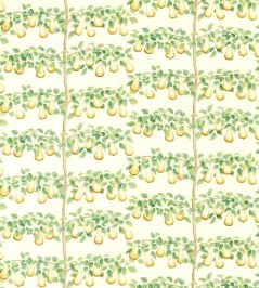 Perry Pears Fabric by Sanderson Ochre/Leaf Green Perry Pears Fabric by Sanderson Ochre/Leaf Green