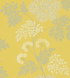Cowparsley Wallpaper by Sanderson Chinese Yellow Cowparsley Wallpaper by Sanderson Chinese Yellow