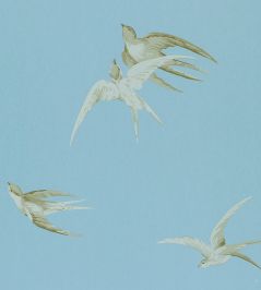 Swallows Wallpaper by Sanderson Wedgwood Swallows Wallpaper by Sanderson Wedgwood