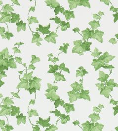 Hedera Wallpaper by Sanderson Green Hedera Wallpaper by Sanderson Green