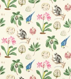 Capuchins Fabric by Sanderson Chintz Capuchins Fabric by Sanderson Chintz