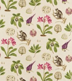 Capuchins Fabric by Sanderson Boysenberry Capuchins Fabric by Sanderson Boysenberry