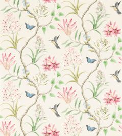 Clementine Wallpaper by Sanderson Chintz Clementine Wallpaper by Sanderson Chintz