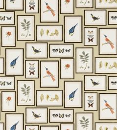 Picture Gallery Wallpaper by Sanderson Sand/Multi Picture Gallery Wallpaper by Sanderson Sand/Multi