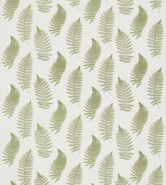Fern Embroidery Fabric by Sanderson Moss Fern Embroidery Fabric by Sanderson Moss