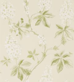 Chestnut Tree Wallpaper by Sanderson Lemon/Lettuce Chestnut Tree Wallpaper by Sanderson Lemon/Lettuce
