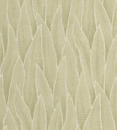 Sansevieria Wallpaper by Casadeco Argile Vert Sansevieria Wallpaper by Casadeco Argile Vert