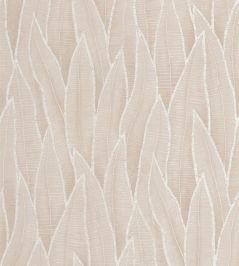 Sansevieria Wallpaper by Casadeco Beige Ficelle Sansevieria Wallpaper by Casadeco Beige Ficelle