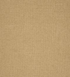 Sasso Fabric by Thibaut Camel Sasso Fabric by Thibaut Camel