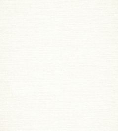 Sasso Fabric by Thibaut Ivory Sasso Fabric by Thibaut Ivory