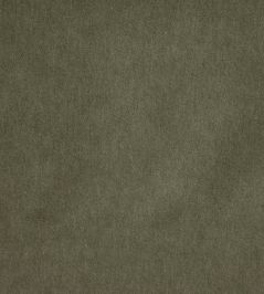 Savona Fabric by Kai Pine Savona Fabric by Kai Pine