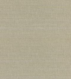 Saxon Fabric by GP & J Baker Green Saxon Fabric by GP & J Baker Green