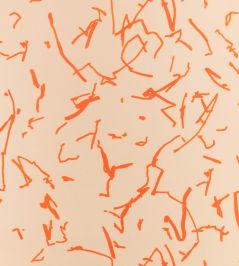 Scribble Wallpaper by Kirkby Design Tangelo Scribble Wallpaper by Kirkby Design Tangelo
