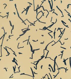 Scribble Wallpaper by Kirkby Design Zest Scribble Wallpaper by Kirkby Design Zest