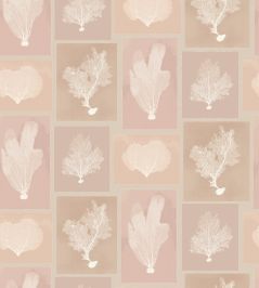 Sea Fans Wallpaper by DADO 02 Blush Sea Fans Wallpaper by DADO 02 Blush