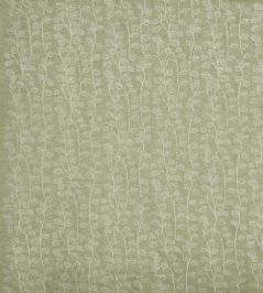 Seedling Fabric by Prestigious Textiles Basil Seedling Fabric by Prestigious Textiles Basil