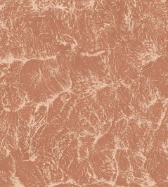 Sepia Wallpaper by Coordonne Rose Sepia Wallpaper by Coordonne Rose