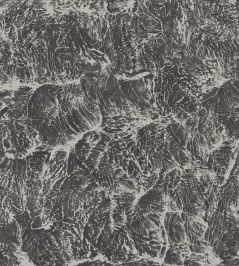 Sepia Wallpaper by Coordonne Stone Sepia Wallpaper by Coordonne Stone