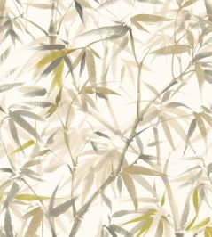 Shadow Bamboo Wallpaper by Ohpopsi Oyster Mix Shadow Bamboo Wallpaper by Ohpopsi Oyster Mix