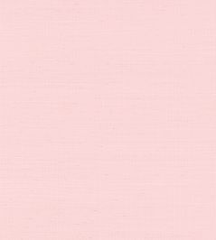 Shang Extra Fine Sisal Wallpaper by Thibaut Shell Shang Extra Fine Sisal Wallpaper by Thibaut Shell