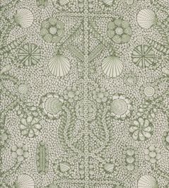 Shell Grotto Fabric by Fermoie Avocado Shell Grotto Fabric by Fermoie Avocado