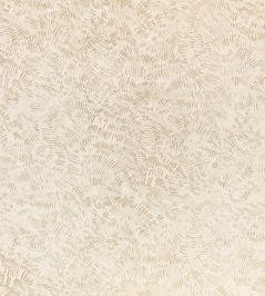 Shiri Wallpaper by Romo Shell Shiri Wallpaper by Romo Shell