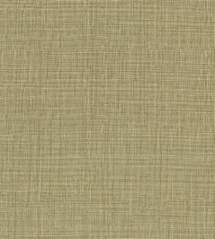 Sierra Wallpaper by Casamance Cactus Sierra Wallpaper by Casamance Cactus