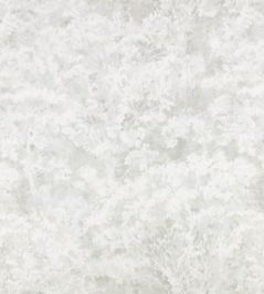 Sikora Sheer Fabric by Romo Lovat Sikora Sheer Fabric by Romo Lovat