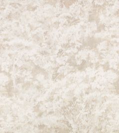 Sikora Sheer Fabric by Romo Stone Sikora Sheer Fabric by Romo Stone