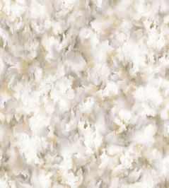 Silk Bombis Wallpaper by Moooi Silk Moss Silk Bombis Wallpaper by Moooi Silk Moss
